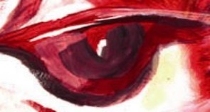 Im Auge des Autors